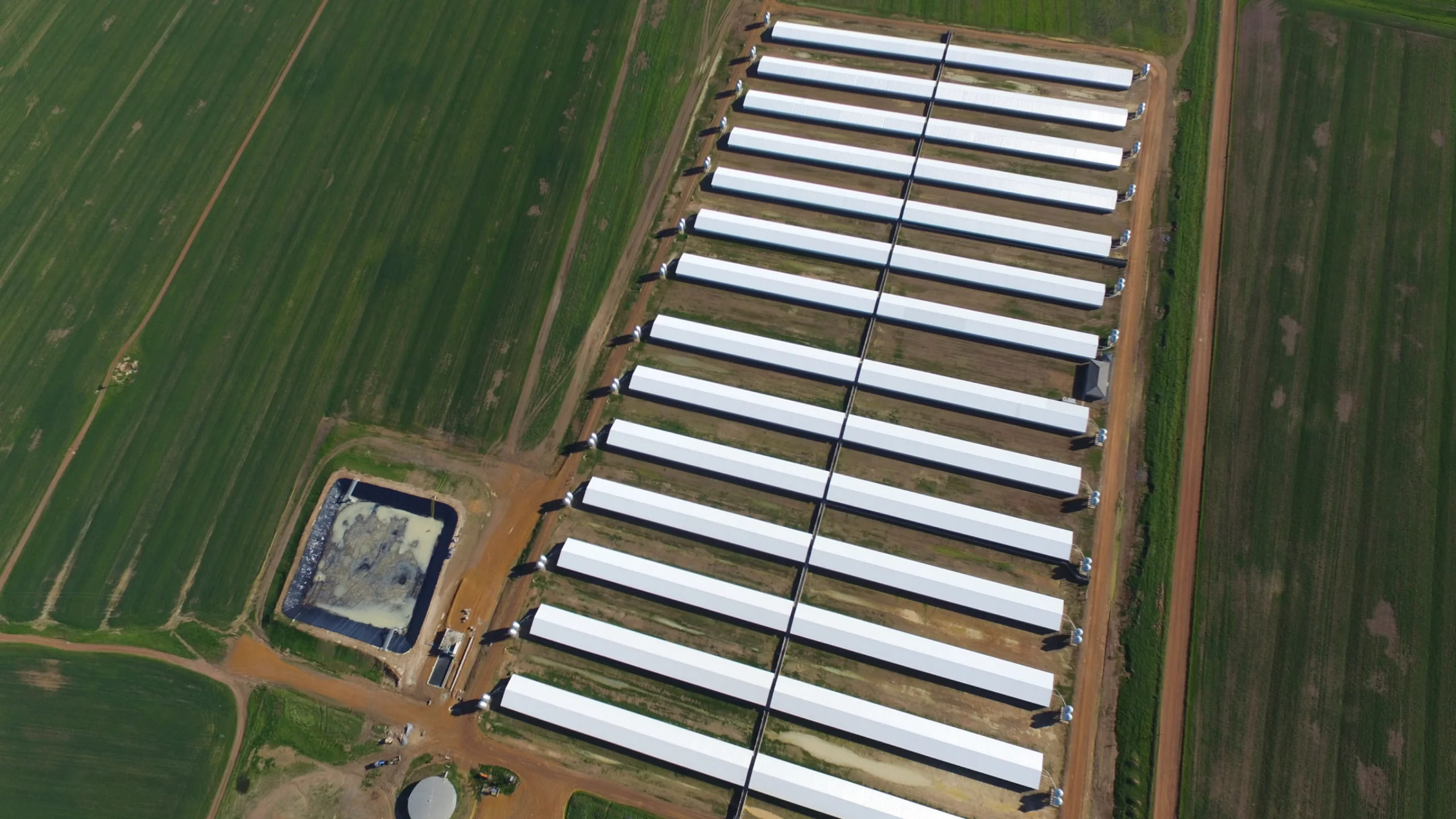 Agricultural steel structures supplier LEMCO framing a modern livestock building