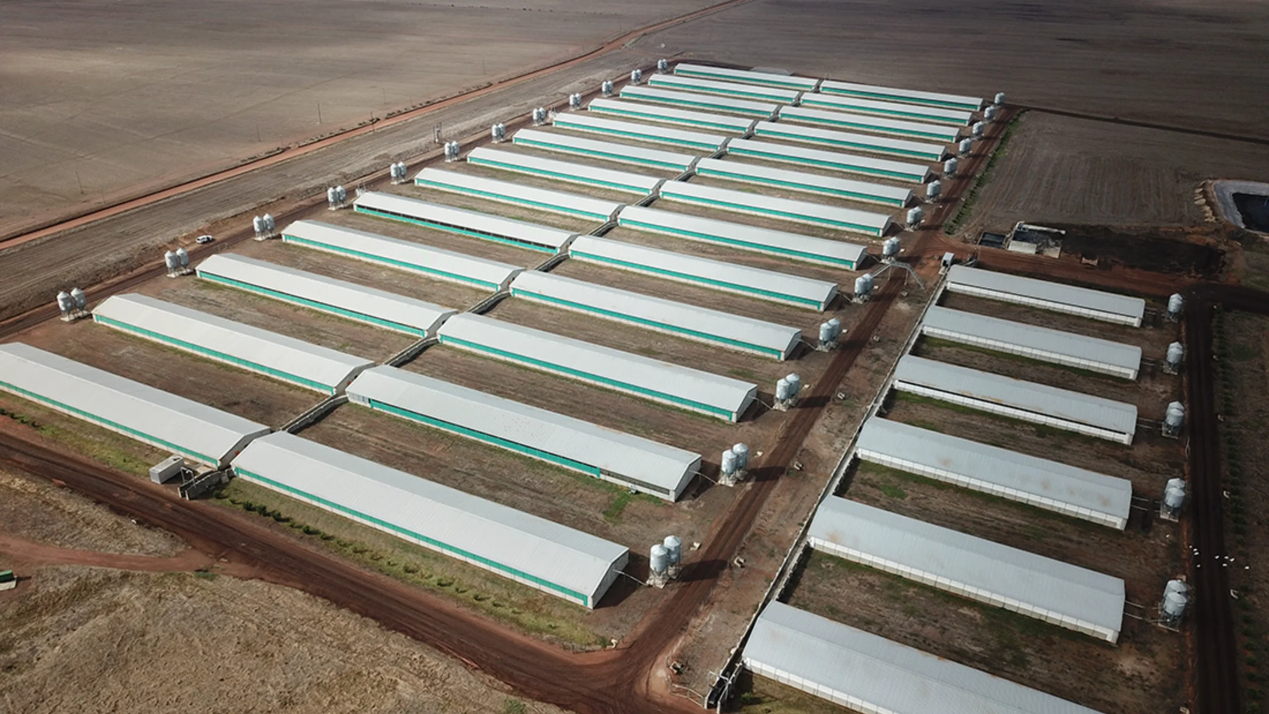 Exterior view of agricultural steel structure built by LEMCO in South Africa