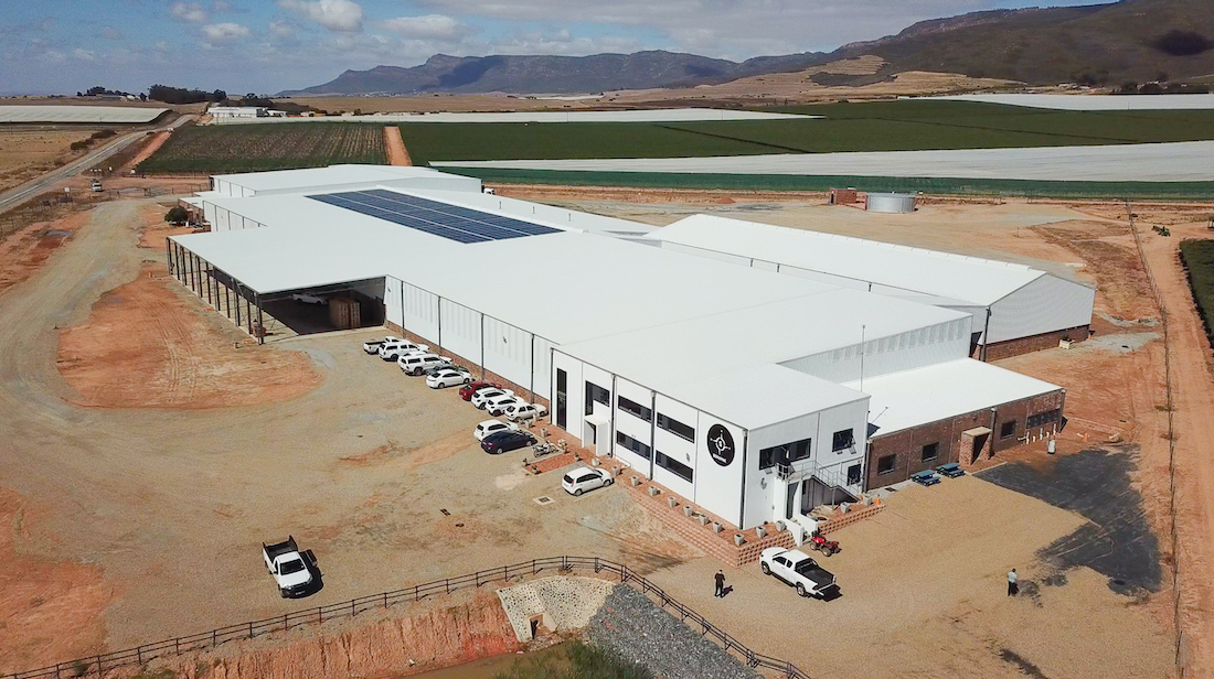lemco-steel-company-western-cape